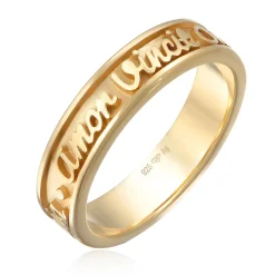 Elli "Bandring Amor Vincit Omnia< Ringe|Vergoldet