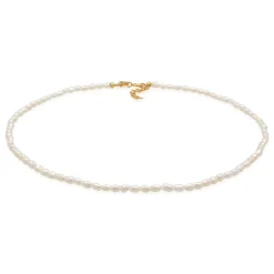 Elli "Choker Klassisch | Süßwasserperlen< Perlen|Halsketten