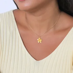 Elli