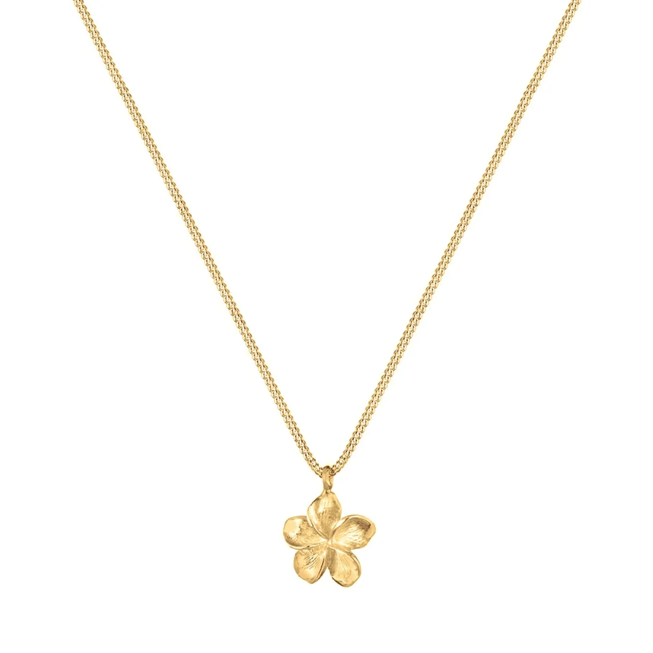Elli "Halskette Frangipani Blüte< Roségold|Symbol-schmuck