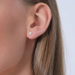 Elli 